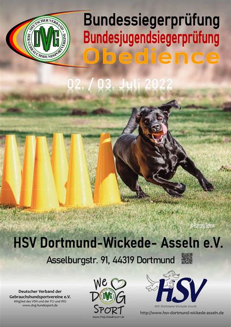 dvg lv westfalen|DVG LV Westfalen e.V. – Hundesport von A – Z.